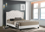 PARADISE2 WHITE KING / QUEEN / FULL SIZE PLATFORM BED